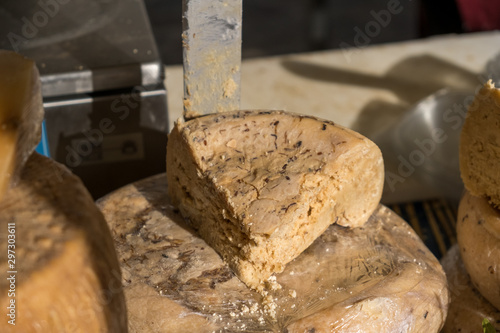 Traditional Sardinian cheese with worms. Banned and illegal cheese with flies and worms inside.