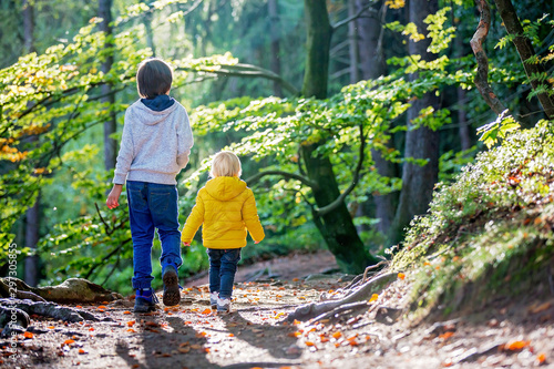 Portrait of toddler boy and his preschool brother, walking on a little forest path on a sunny day