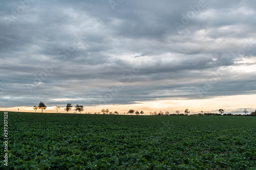 Baden-Wuerttemberg nature and Agriculture. Countryside near Elchingen at Neresheim.