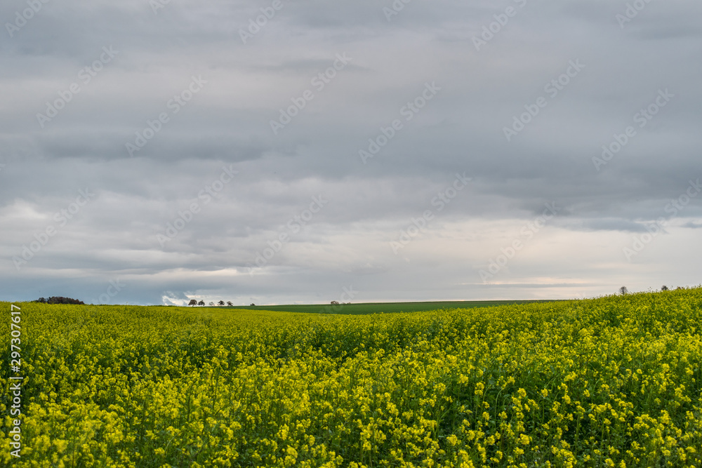 Obraz premium Baden-Wuerttemberg nature and Agriculture. Countryside near Elchingen at Neresheim.