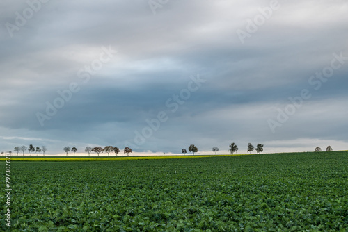 Baden-Wuerttemberg nature and Agriculture. Countryside near Elchingen at Neresheim. photo