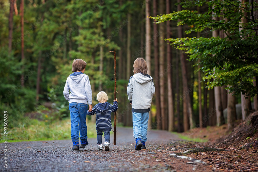 Children, brothers, hiking in forest on autumn day, walking and trekking