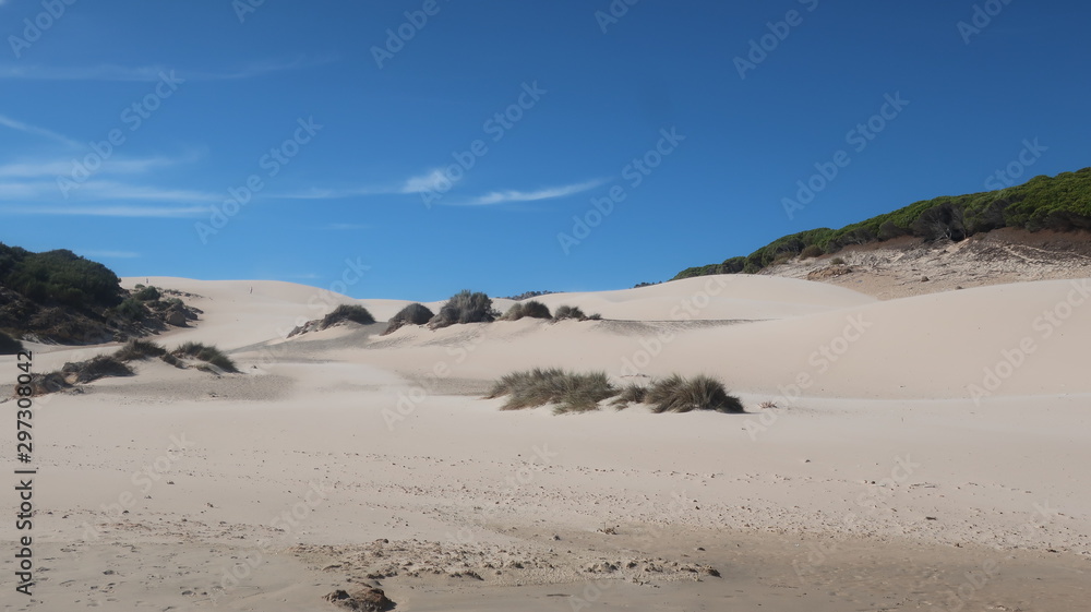 Dünen an der Costa de la Luz