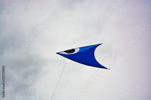 Kite flying in the grey sky in autumn