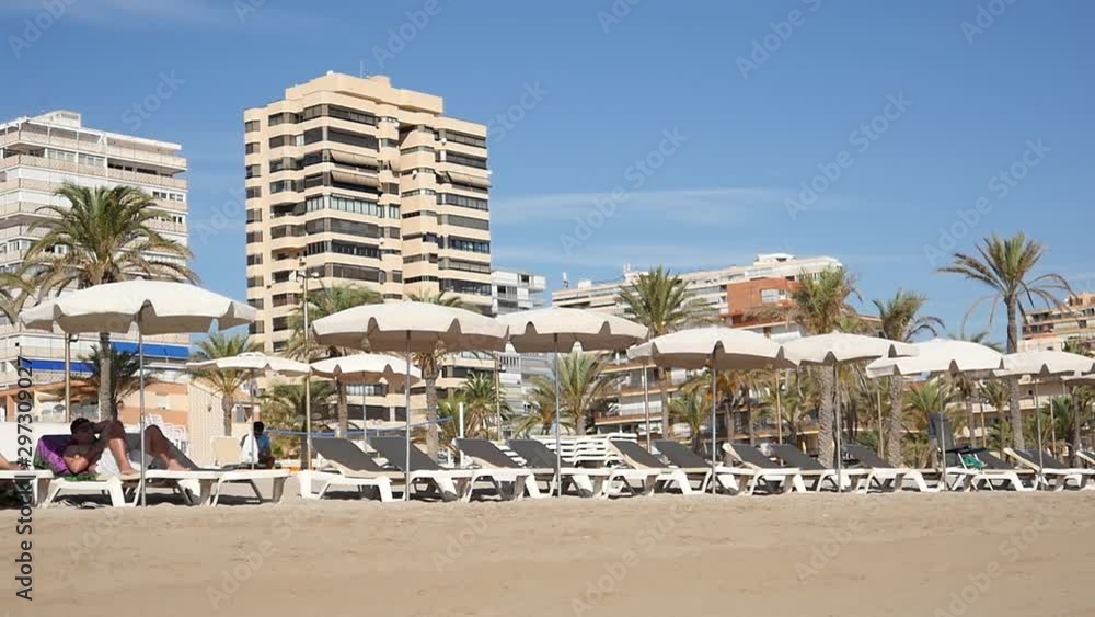 Sea Beach with Sun Umbrellas and Hammocks and Palms Sea Beach with Sun Umbrellas and Hammocks and Palms