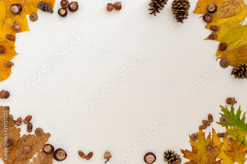 Colorful autumn leaves collection on white background