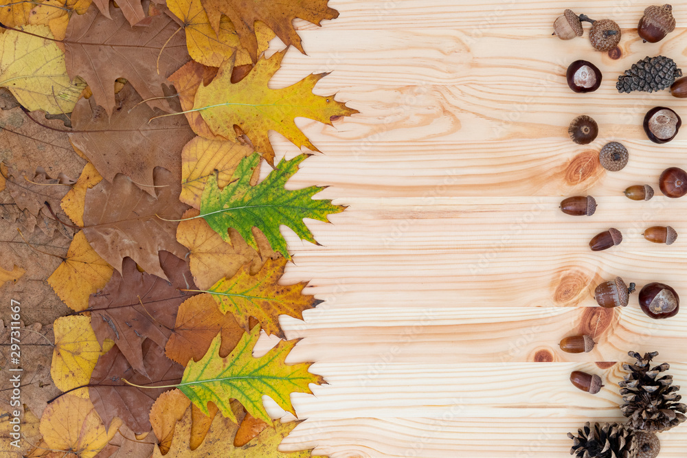 Colorful autumn leaves collection on wooden background