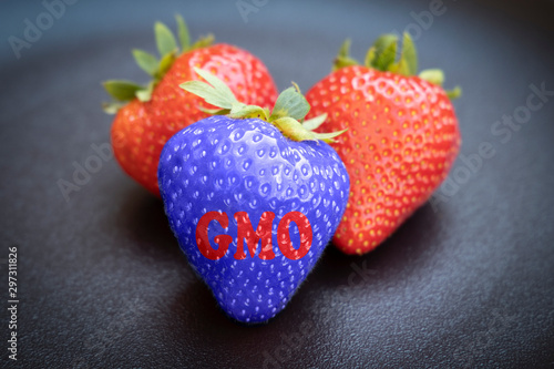 Strawberries on dark bacGMO genetically modified strawberrie against organic on the dark background.