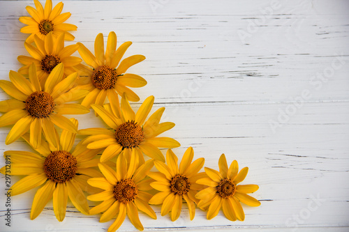 yellow flowers on a wooden light background
