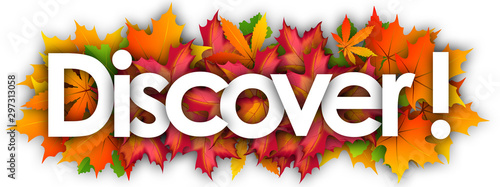 Bilde på lerret Discover  word and autumn leaves background