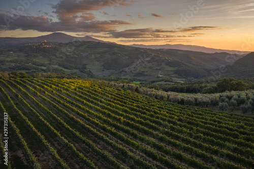 Picturesque tuscan vineyards from above by drone.