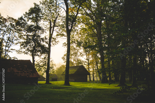 Little house standing in forest sunrise fog