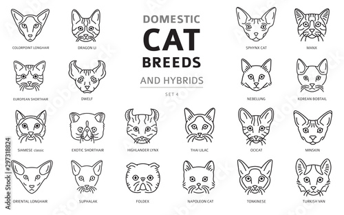 Domestic cat breeds and hybrids linear portraits collection isolated on white. Simple line cat`s head style set