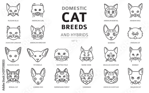 Domestic cat breeds and hybrids linear portraits collection isolated on white. Simple line cat`s head style set