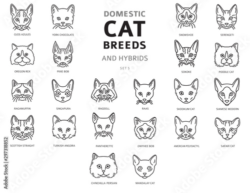 Domestic cat breeds and hybrids linear portraits collection isolated on white. Simple line cat`s head style set