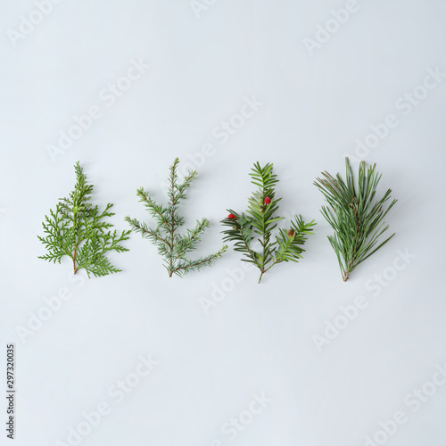 Creative winter layout made of pine tree branches. Christmas flat lay. Nature holiday season concept.