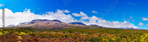 Volcanoes of Mount Tongariro National Park in the New Zealand photo