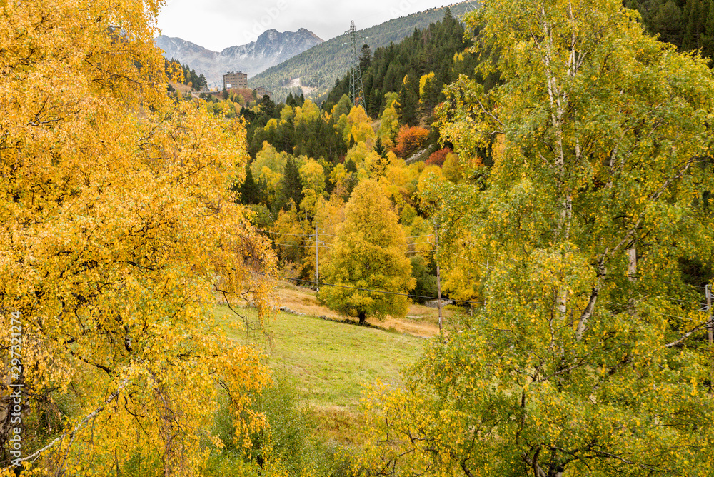 The mountain autumn landscape with colorful forest in Andorra.