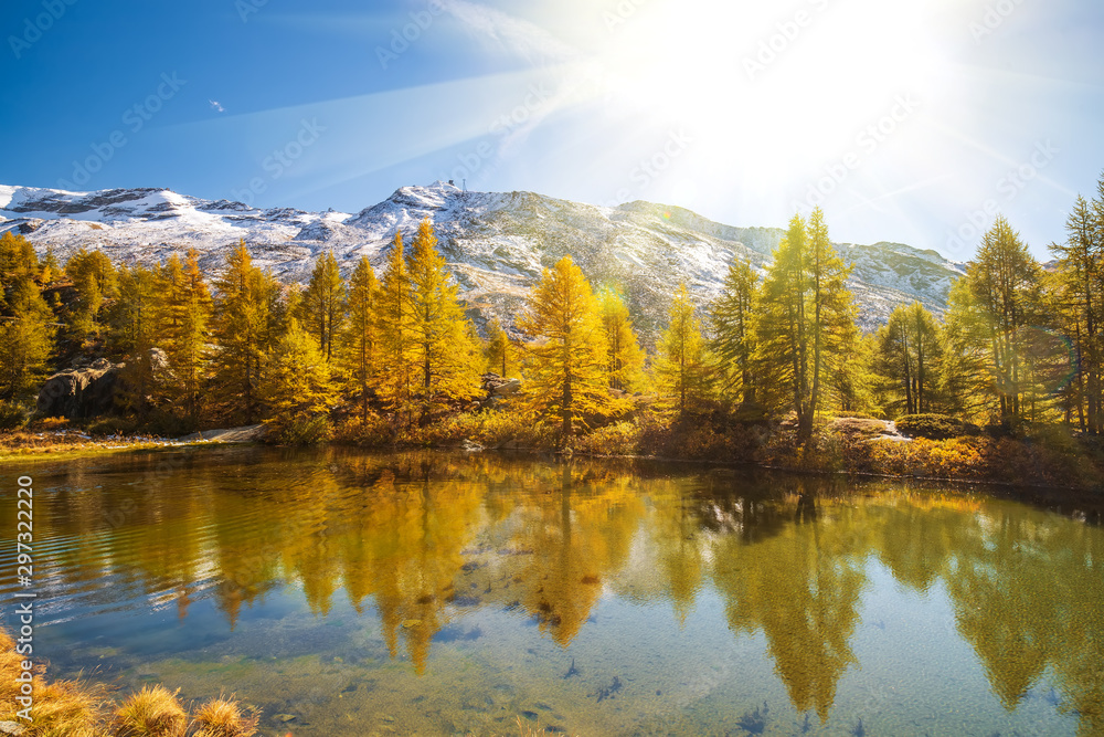 Stunning autumn scenery with yellowed larches reflected in Grinjisee lake. Swiss Alps, Valais, Switzerland