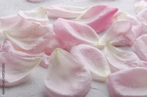 Closeup of fresh pink petals on the white surface