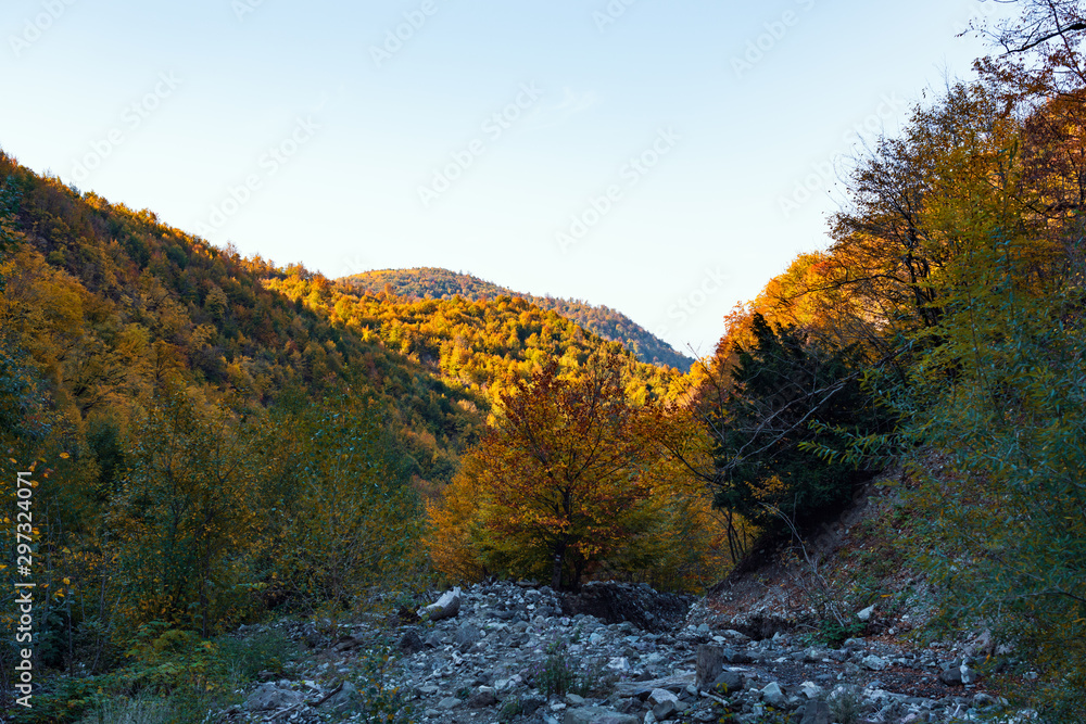 Mountain gorge in the autumn