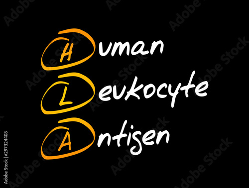 HLA - Human Leukocyte Antigen acronym, medical concept background
