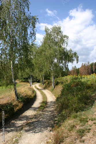 Birkenweg