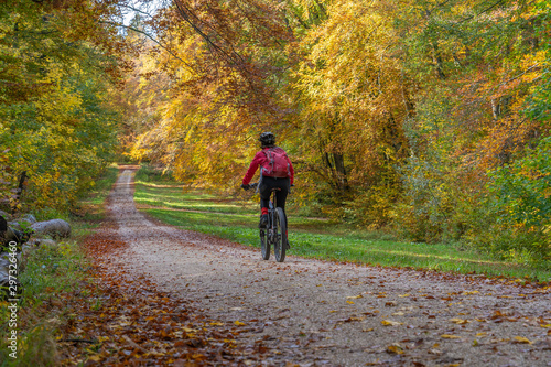nice senior woman riding her electric mountain bike in a colorful autumn forest of the swabian Alb, Baden Wuerttemberg,Germany © Uwe