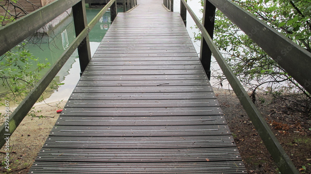 Fototapeta premium wooden bridge in forest