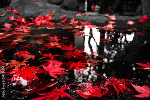 水辺の紅葉 © Chocomint