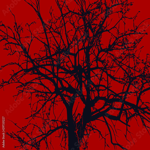 Ebony. The contour of a tree without leaves on a red background. The top of the tree and its upper branches without leaves. Mighty acacia without leaves. A tree that is many years old.