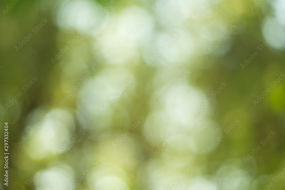 green bokeh background abstract green bokeh background abstract