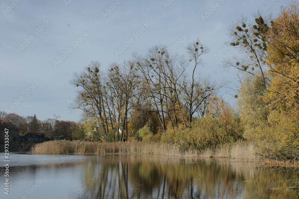 Fototapeta premium Jezioro Długie w Olsztynie