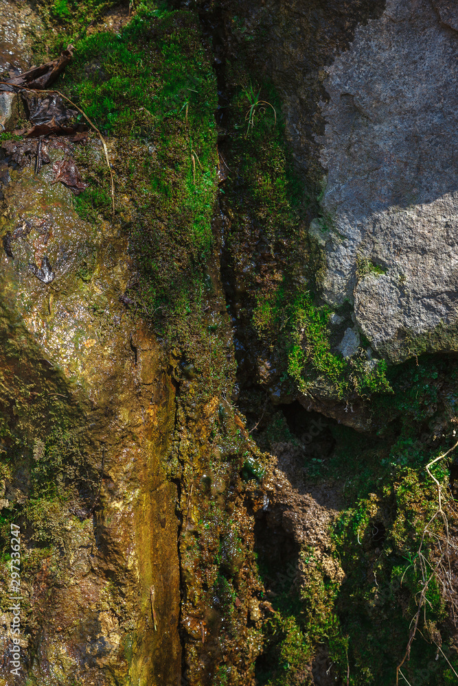 Old wet stone with green moss as background Old wet stone with green moss as background