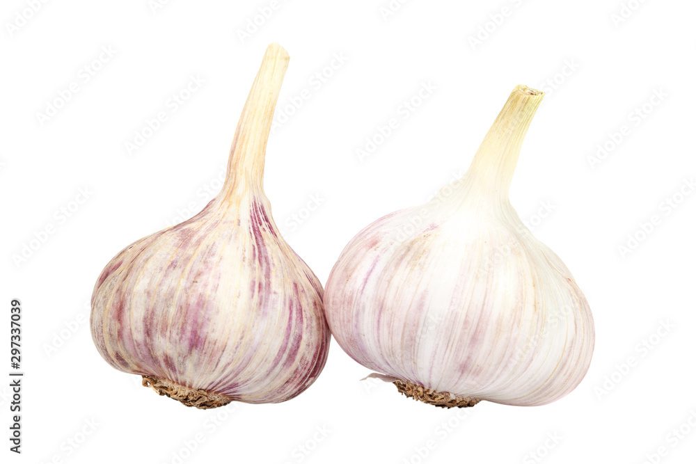 Fototapeta premium Fresh garlic isolated on white background