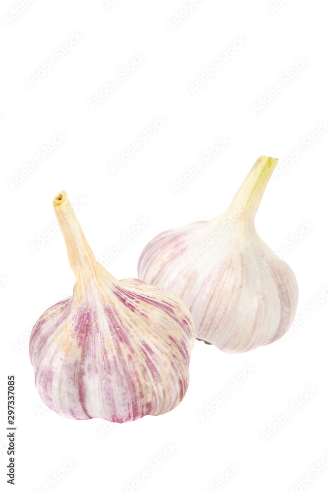 Fototapeta premium Fresh garlic isolated on white background