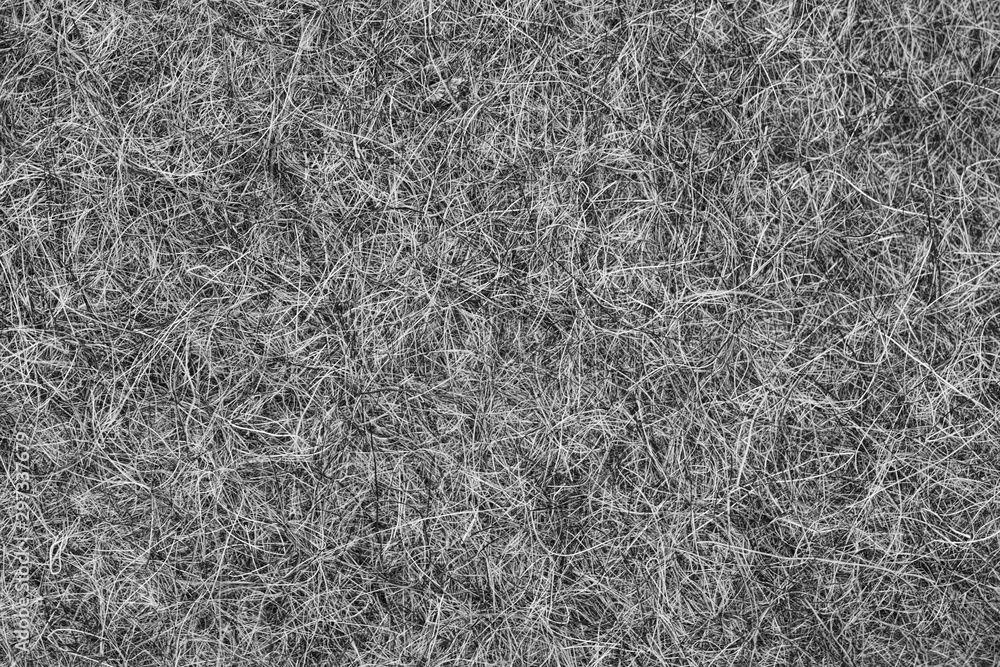 Extruded hair felt closeup background texture. sheep wool for felt boots