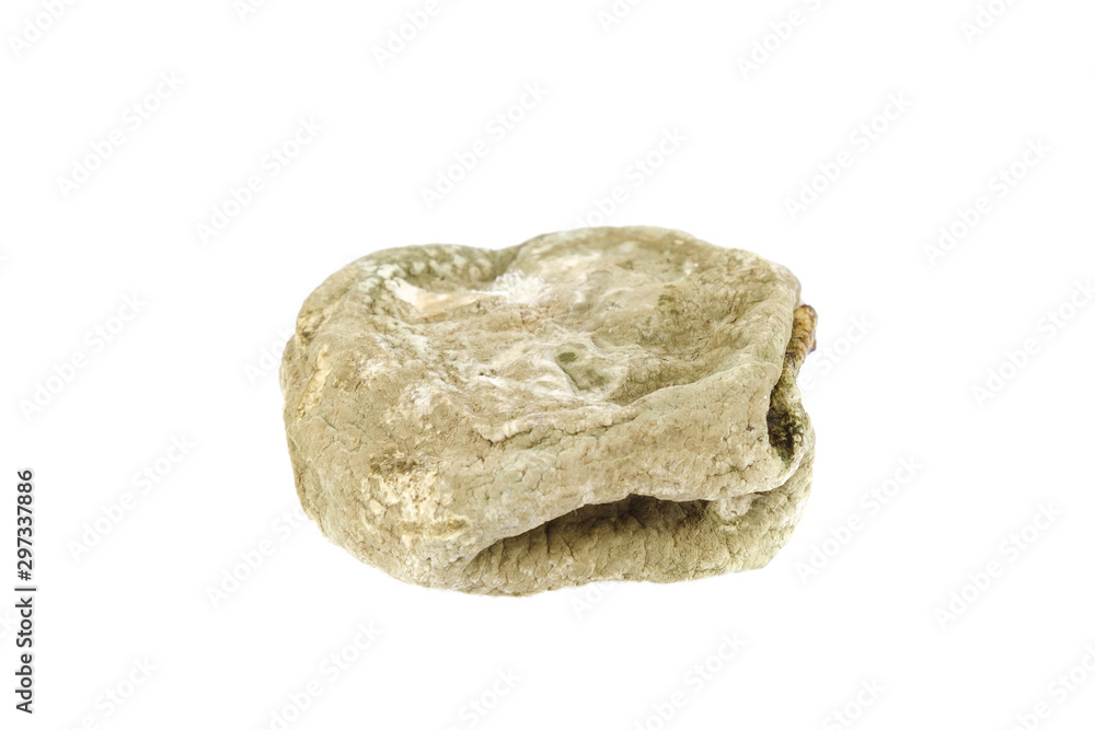 Rotten citrus fruit isolated on white background Rotten citrus fruit isolated on white background