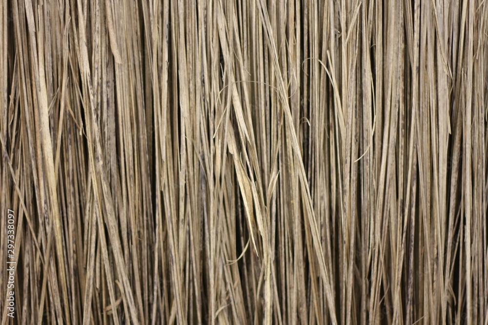 bamboo texture background bamboo texture background