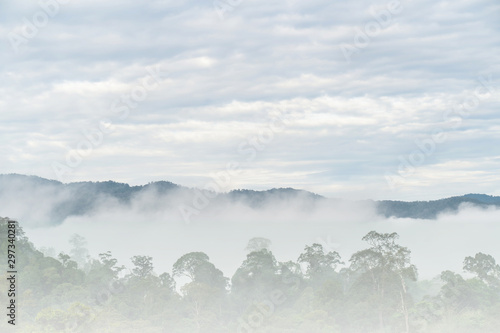 Good Morning mist background sky, Misty beautiful mountain in the Golden Mountain Bright green, abundant in Narathiwat Thailand.