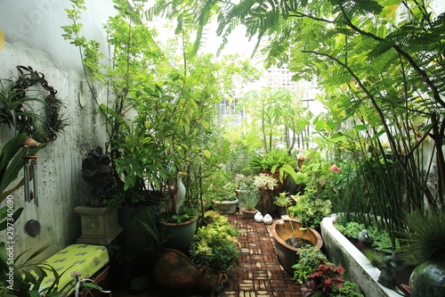 A small garden in the city on the roof of a commercial building. Small garden in a limited area.