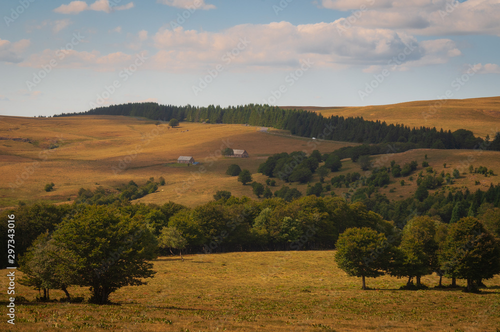 Obraz premium open landscape,mont lozere , france