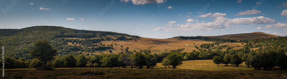 Obraz premium panorama ,open landscape,mont lozere , france