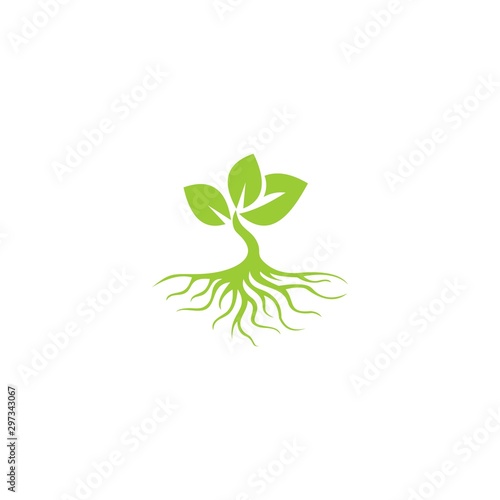 tree with root logo template 