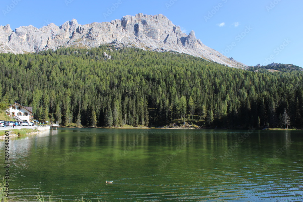 lake and mountains (forest,tree,green,nature,water,landscape,ferlection,alberi,verde,montagna,paesaggio,panorama,riflesso,natura)