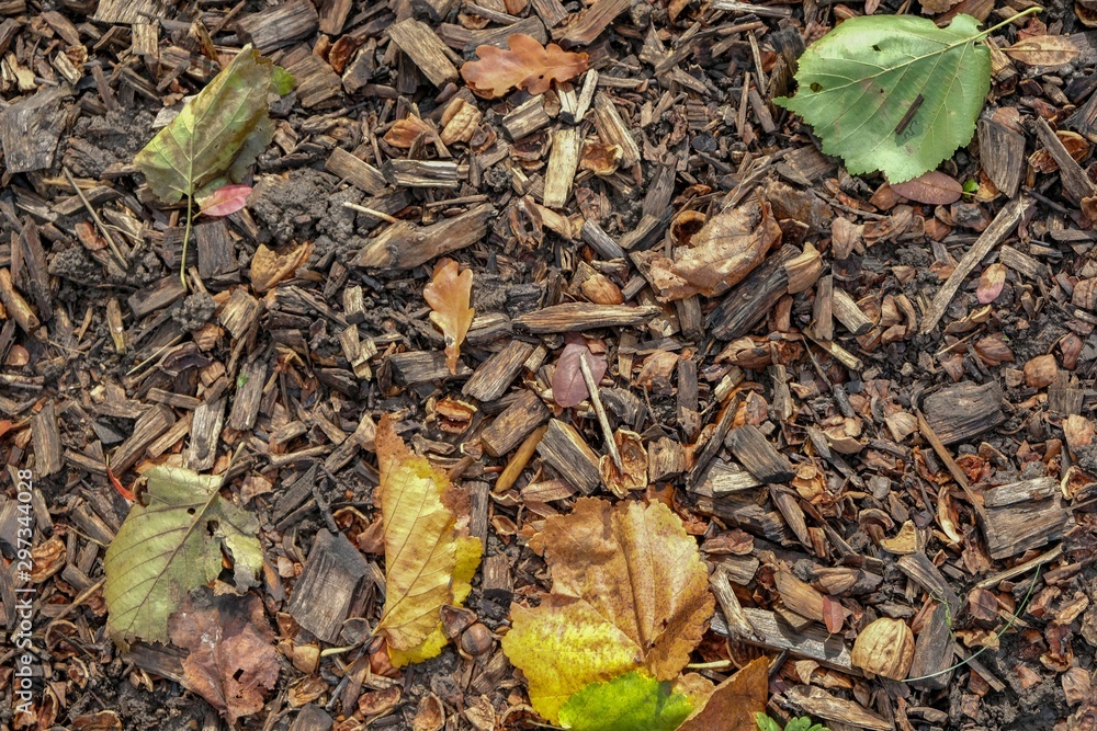 Herbstlaub Hintergrund Herbstlaub Hintergrund
