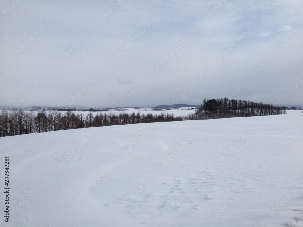 Winter Landscape in Hokkaido, Japan