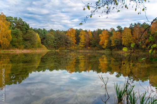  lake in the autumn forest