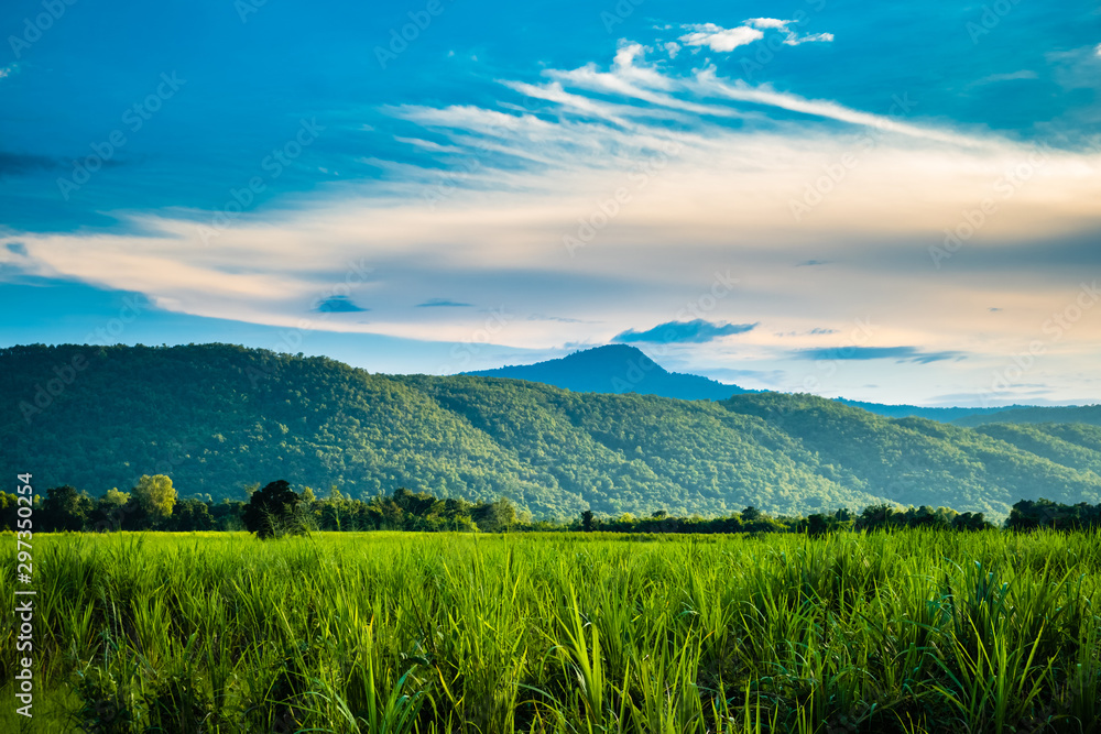 Obraz premium Countryside View at Sukhothai, Thailand