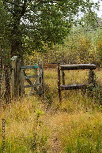 Forestry on the common photo